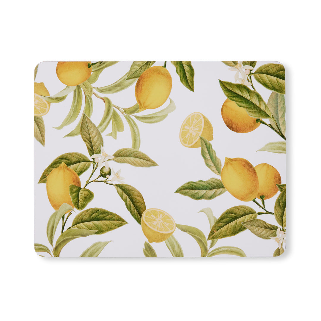 Citrus Rectangle Placemat Set of 4