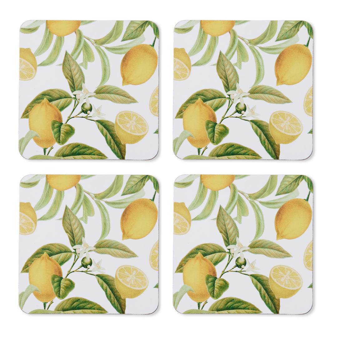 Citrus Square Coaster Set of 4