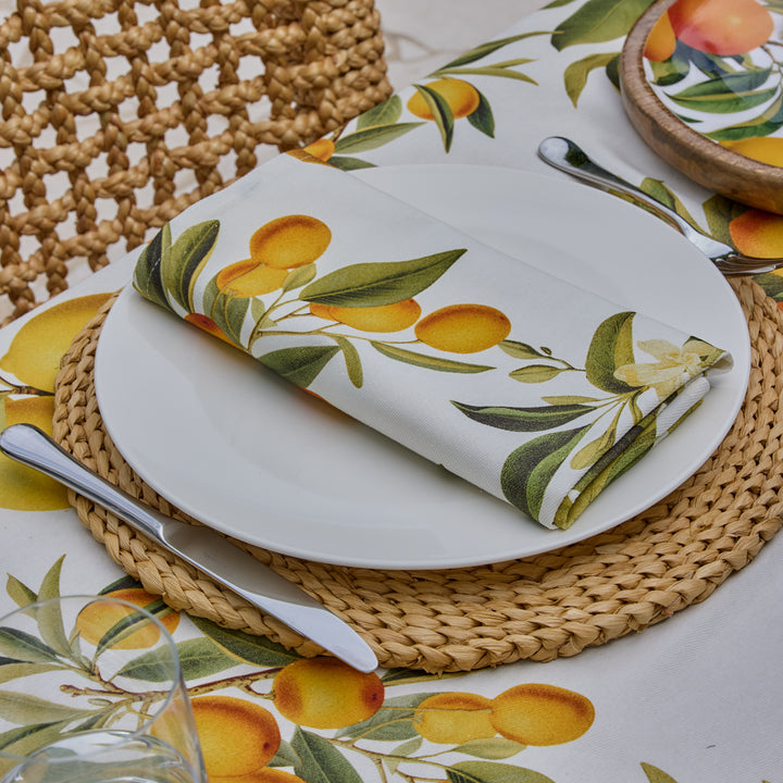 Braided Dark Natural Placemat