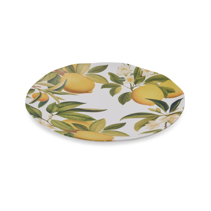 Citrus Grove Chip Dip Platter - Madras Link