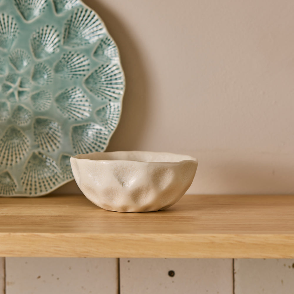 Nautilus White Small Bowl - Madras Link