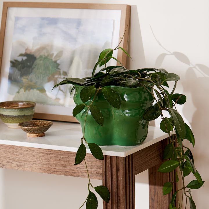 August Wavy Green Planter