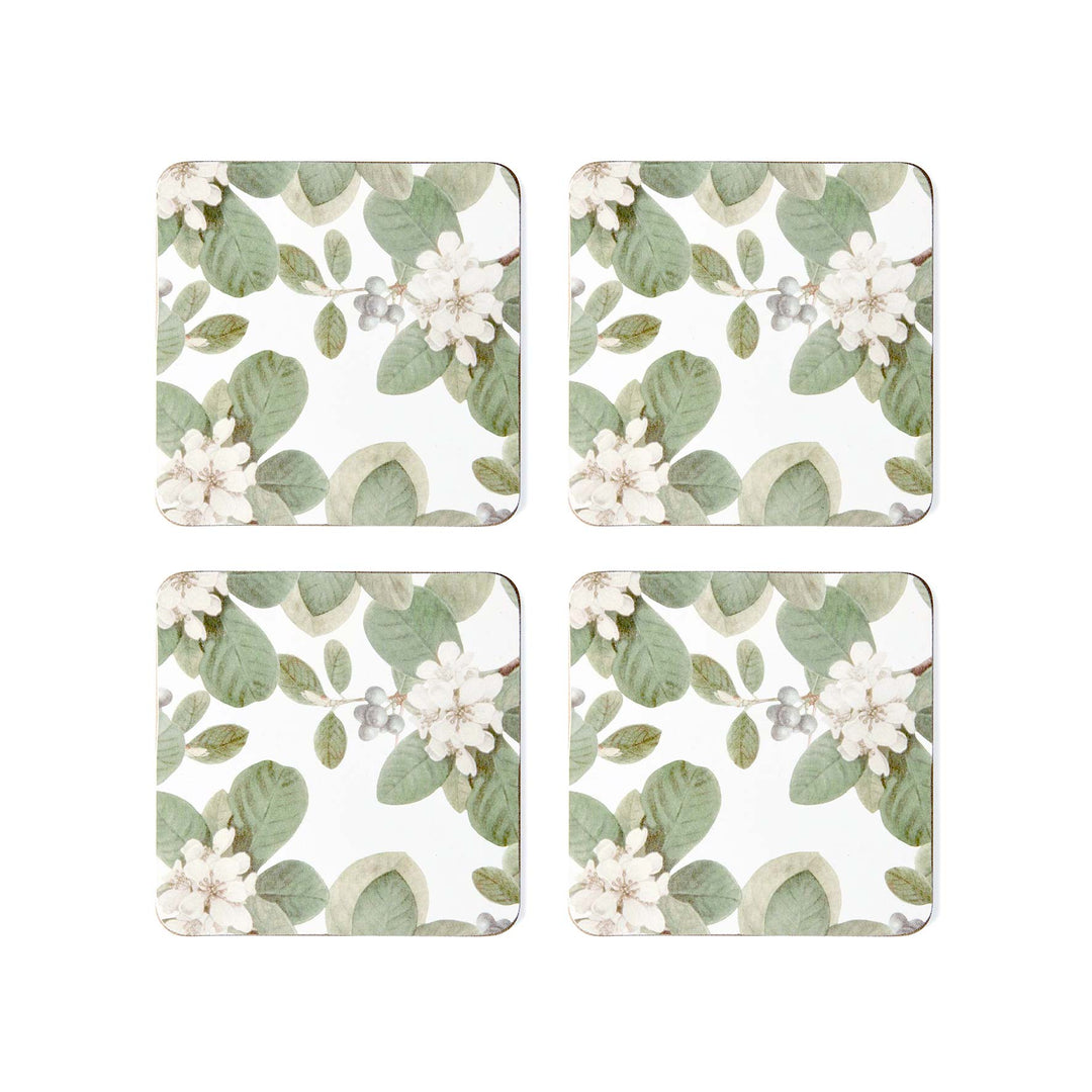 Ainsley Square Coaster - Set of 4 - Madras Link