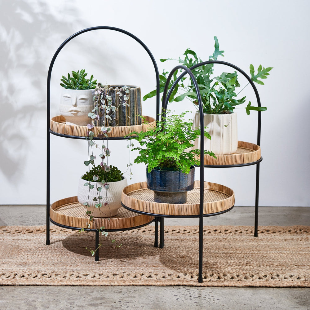 Clifton Ink Planters - Set Of 2 - Madras Link