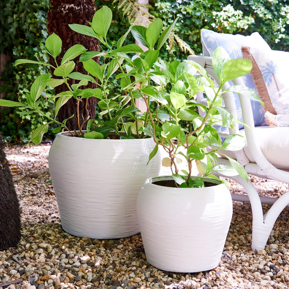 Calypso White Planters - Set Of 2 - Madras Link