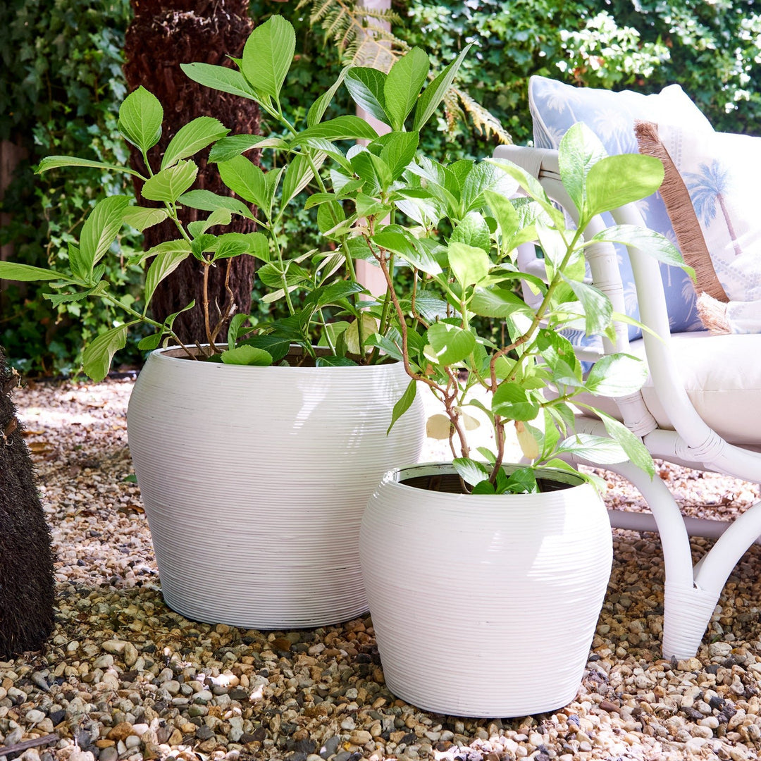 Calypso White Planters - Set Of 2 - Madras Link