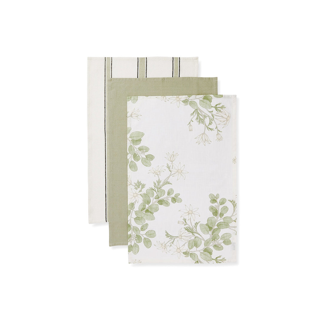 Flannel Flower Tea Towel - Pack of 3 - Madras Link