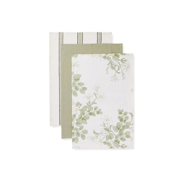 Flannel Flower Tea Towel - Pack of 3 - Madras Link